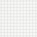 25 Count Lugana White Easy Count Grid Cloth by Zweigart close up
