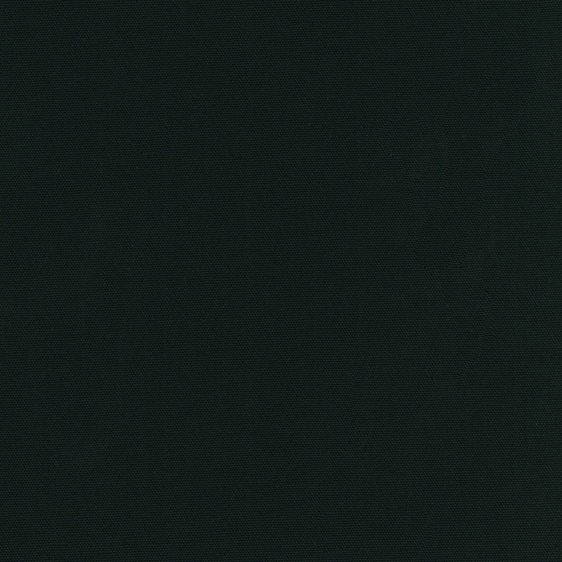 Big Sur Canvas B198-1019 Black by Robert Kaufman