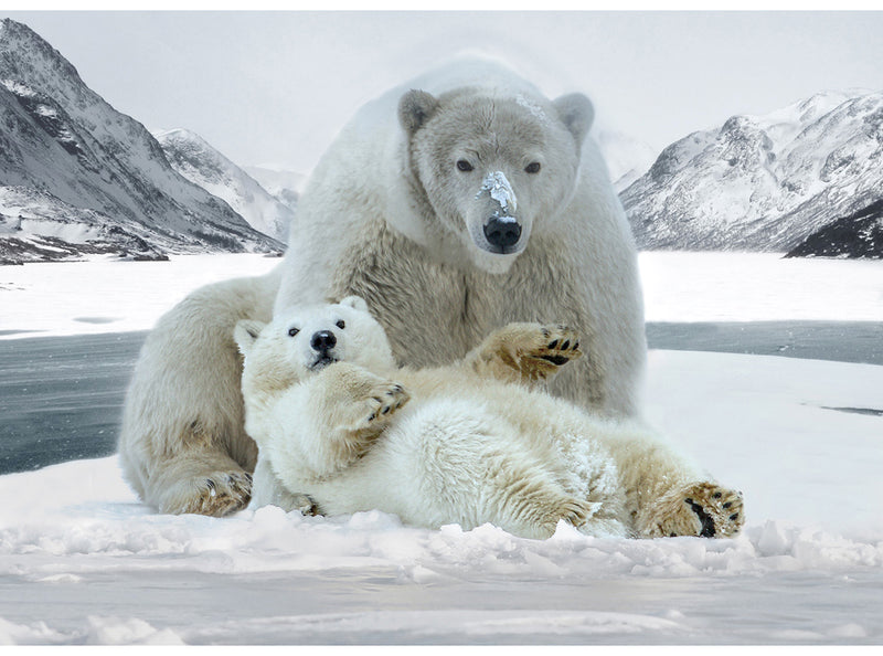 Call of the Wild Panel - Polar Bears W5375-113 Frost by Hoffman Fabrics