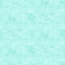 Canvas Flannel F9030-62 Turquoise by Deborah Edwards for Northcott.