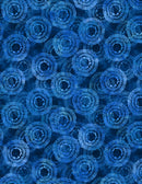 Circle Burst 108" 3030-2122-441 Blue by Anne Rowan for Wilmington Prints