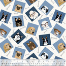 Cozy Flannel 53423F-9 Blues Hound Sight by Windham Fabrics