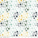 It's A Boy Flannel F13904-WHITE Stars by Echo Park Paper Co. for Riley Blake Designs
