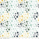 It's A Boy Flannel F13904-WHITE Stars by Echo Park Paper Co. for Riley Blake Designs