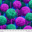 Florescence PWVE015.SWEETPEA Allium Alcove by Sam Wilde for FreeSpirit