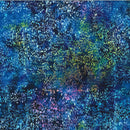 Follow the Rainbow Batik W2588-324 Dragonfly by Hoffman Fabrics