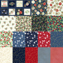 Joyful Fat Quarter Bundle JOYFFQ by Sara Berrenson for P&B Textiles