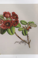 Kew Book of Embroidered Flowers, The Trish Burr Search Press Close Up Picture  SP1642-1