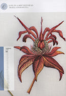 Kew Book of Embroidered Flowers, The Trish Burr Search Press Close Up Picture SP1642-1