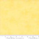 On Lake Time 56127-16 Daisy by Deb Strain for Moda.