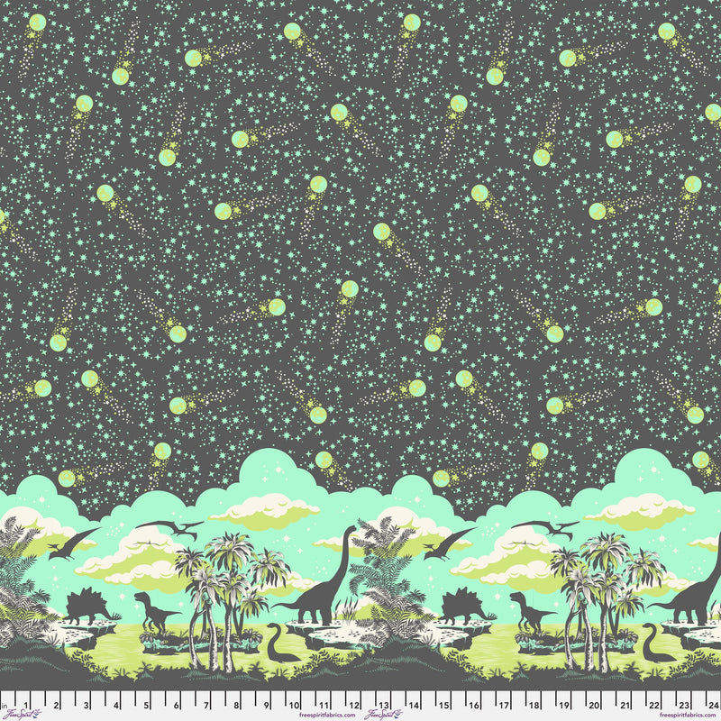 Roar! PWTP226.STORM Meteor Showers by Tula Pink for FreeSpirit