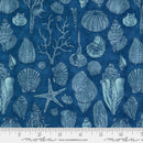 Serena Shores 48774-14 Coastal by Robin Pickens for Moda