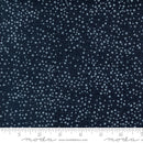 Winterly 48715-152 Soft Black by Robin Pickens for Moda