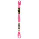 DMC Floss,Size 25, 8.7 yards per skein - 603 Cranberry