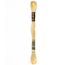 DMC Floss,Size 25, 8.7 yards per skein - 677 Very Light Old Gold