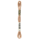 DMC Floss,Size 25, 8.7 yards per skein - 841 Light Beige Brown