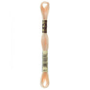 DMC Floss,Size 25, 8.7 yards per skein - 951 Light Tawny