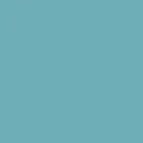 Confetti Cotton Solids C120-BEARLAKE by Riley Blake Desgins