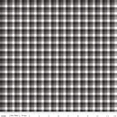 Into the Woods C11393-BLACK Check by Lori Whitlock for Riley Blake Designs