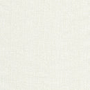 Thatched 48626-36 Cream by Robin Pickens for Moda