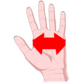 Thera-Glove Hand and Wrist Support Gloves