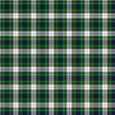 Totally Tartan Wovens W24510-10 Dress Gordon White Multi by Northcott Studio for Northcott