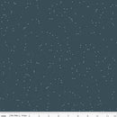 Winterland C10716-MIDNIGHT Flurries by Amanda Castor for Riley Blake Designs