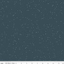 Winterland C10716-MIDNIGHT Flurries by Amanda Castor for Riley Blake Designs