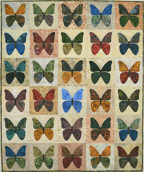 Butterflies – Our Collection