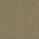 10/20 Count Penelope Canvas by Zweigart close up