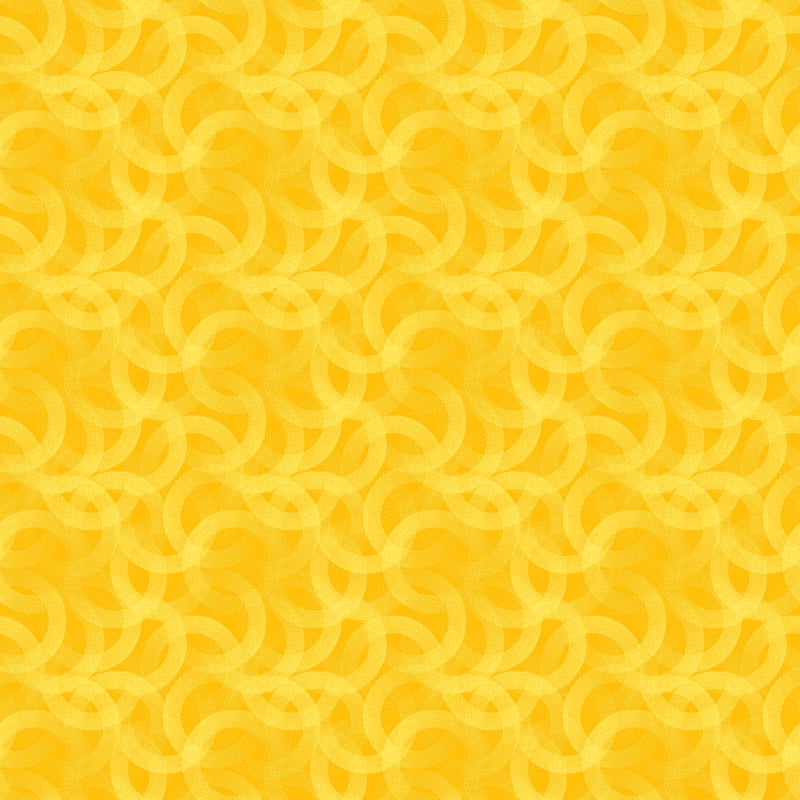 Affinity 10360-58 Sunshine by Patrick Lose Fabrics