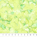 Allure DP26707-52 by Deborah Edwards and Melanie Samra for Northcott