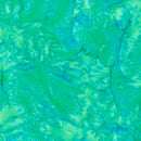 Bali Hand-Dyed Watercolor 1895-29 Jade; Trend-Tex