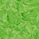Bali Hand-Dyed Watercolor 1895-354 Kelly; Trend-Tex