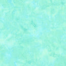 Bali Hand-Dyed Watercolor 1895-370 Acapulco by Hoffman Fabrics