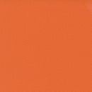 Bella Solids 9900-231 Longhorn by Moda