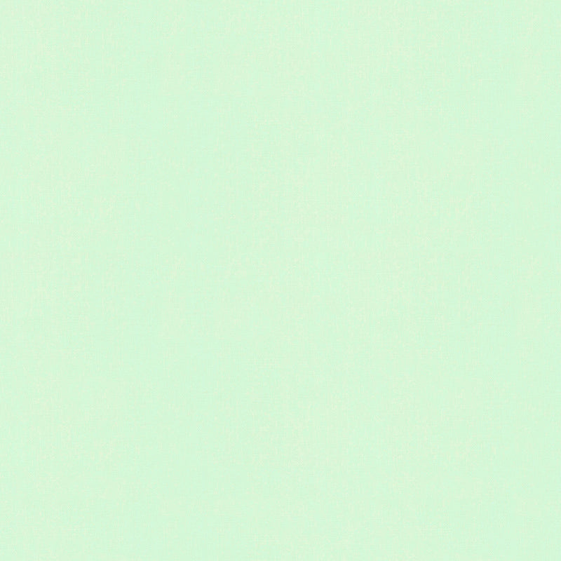 Bella Solids 9900-470 Cool Mint by Moda