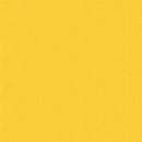 Bella Solids 9900-484 Zest by Moda