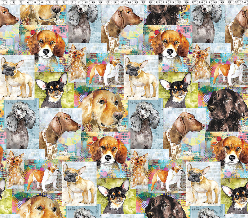 Best Friends Y4281-55 Multi Color Digital Collage by Lexi Grenzer for Clothworks