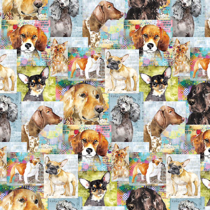 Best Friends Y4281-55 Multi Color Digital Collage by Lexi Grenzer for Clothworks