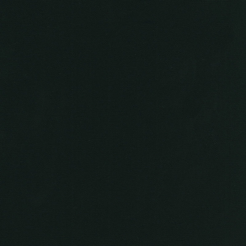 Big Sur Canvas B198-1019 Black by Robert Kaufman
