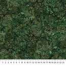 Bliss DP23887-78 Evergreen by Northcott Studio for Northcott Fabrics