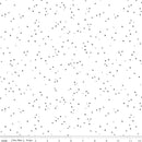 Blossom On White C730-ALLTHEGRAY by Christopher Thompson for Riley Blake Designs