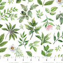 Blush SP25621-10 Leaf Toss White Green by Michel Design Works for Northcott