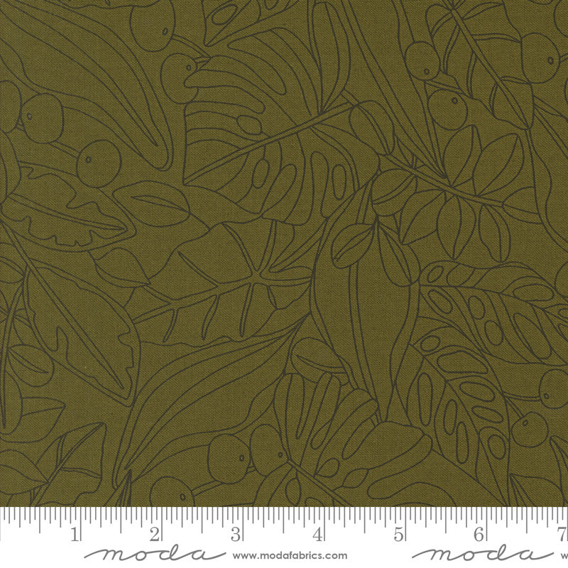 Botany 11551-29 Monstera by Alli K Design for Moda