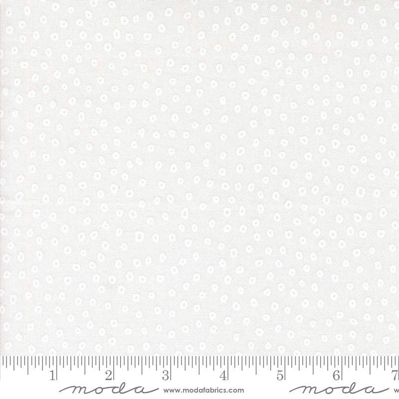 Botany 11556-11 Paper White by Alli K Design for Moda