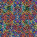 Brilliance 28328-J Black Jelly Beans by Dan Morris for QT Fabrics
