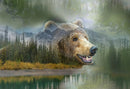 Call of the Wild Panel - Grizzly Bear Y5776-611 River Rock by Hoffman Spectrum Prints