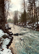 Call of the Wild Panel - Snowy River Y5777-642 Sepia by Hoffman Spectrum Prints