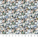 Canoe Lake DP29234-94 Rocks Gray Multi by Iosif Derecichei for Northcott